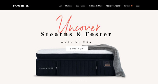 사진= 룸에이. 제공